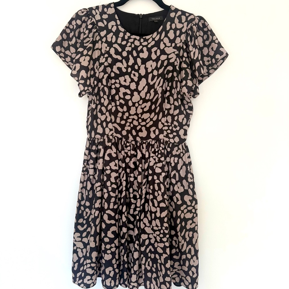 Talula Black and Cream Patterned Dress
